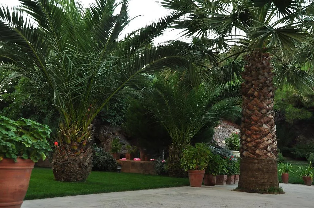 Palm Court Suites Ayvalı 3*,  Turecko
