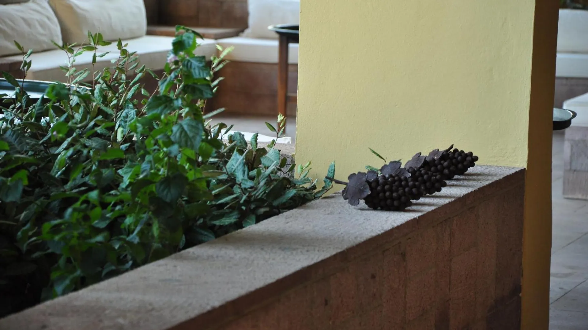 Bed & Breakfast Palm Court Suites Ayvalı